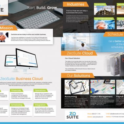 ZeoSuite Company Flyer