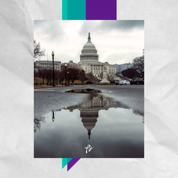 Washington D.C. Capitol Reflection
