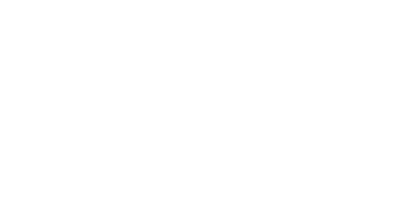 Levin Furniture